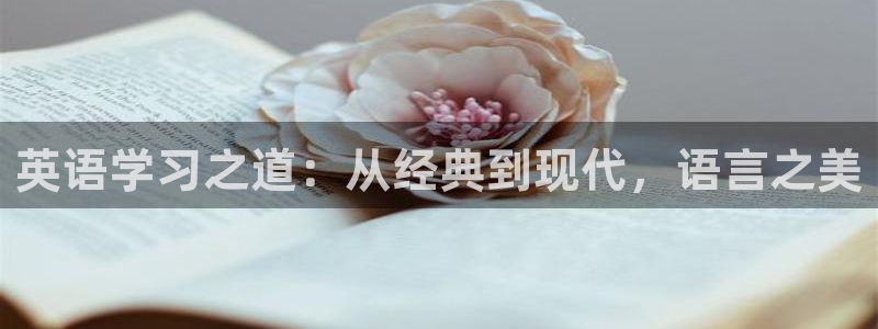 镇魂小说网官网入口：英语学习之道：从经典到现代，语言之美