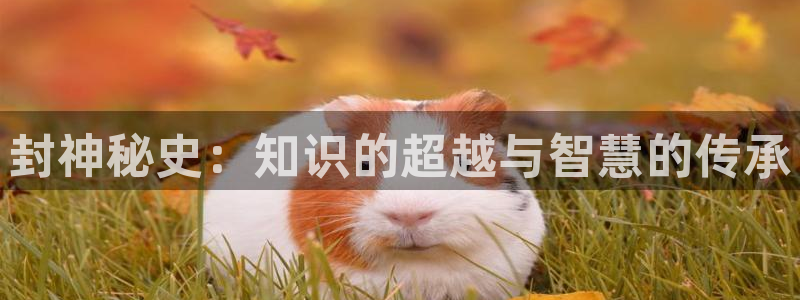 镇魂小说网app下载：封神秘史：知识的超越与智慧的传承