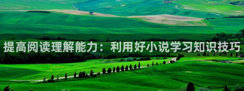 镇魂小说网官方入口：提高阅读理解能力：利用好小说学习知识技巧