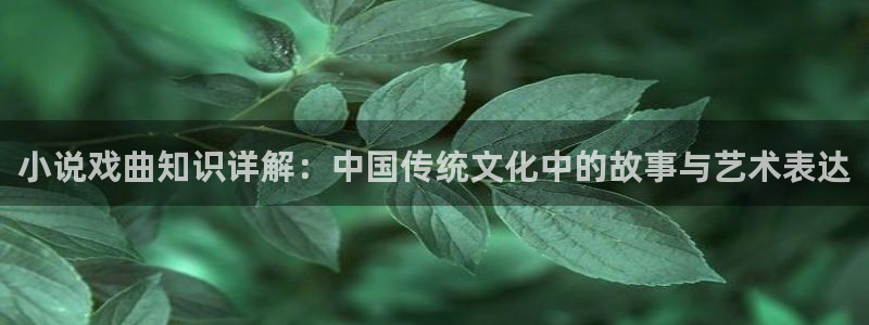 镇魂小说：小说戏曲知识详解：中国传统文化中的故事与艺术表达